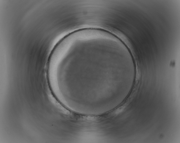 X0000111130958200907211111