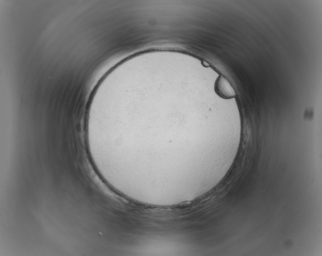 X0000111130959200907211111