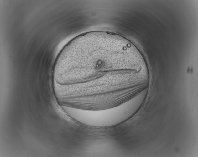 X0000111130960200907211111