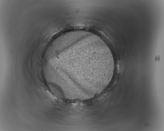 X0000111130961200907211110