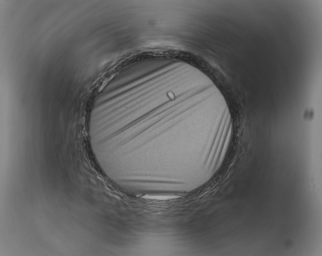 X0000111130965200907211110