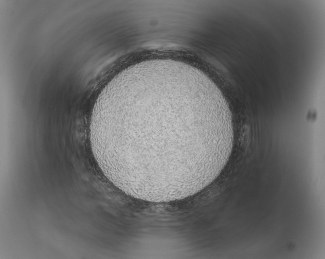 X0000111130966200907211110