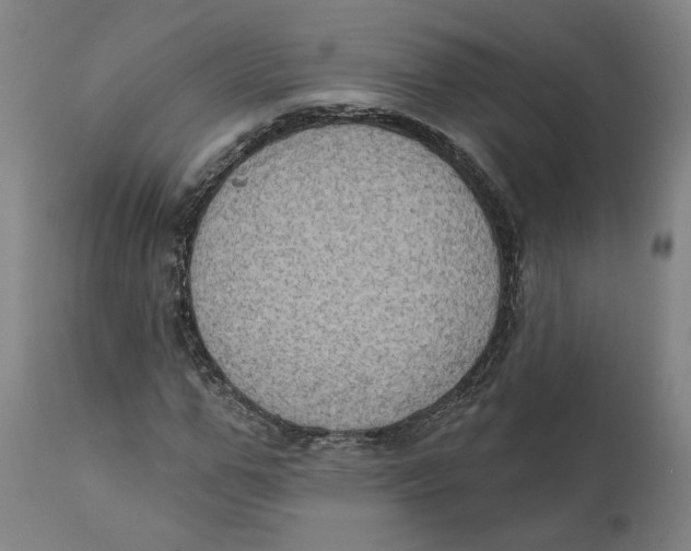 X0000111130967200907211110