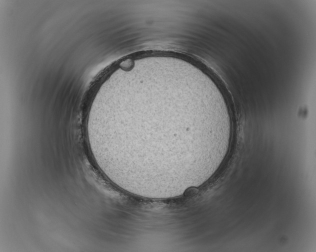 X0000111130971200907211110