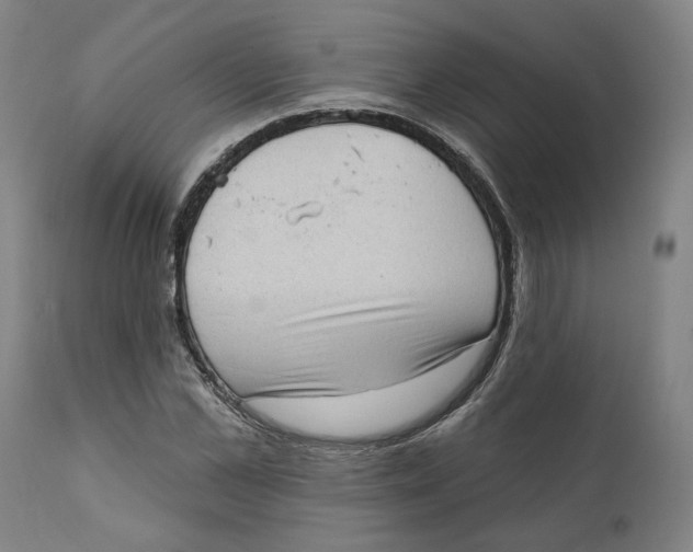X0000111130973200907211110