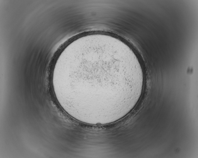 X0000111130975200907211110