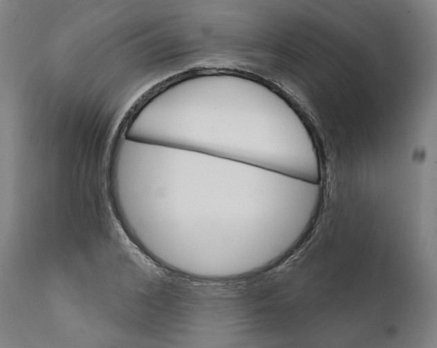 X0000111130976200907211110