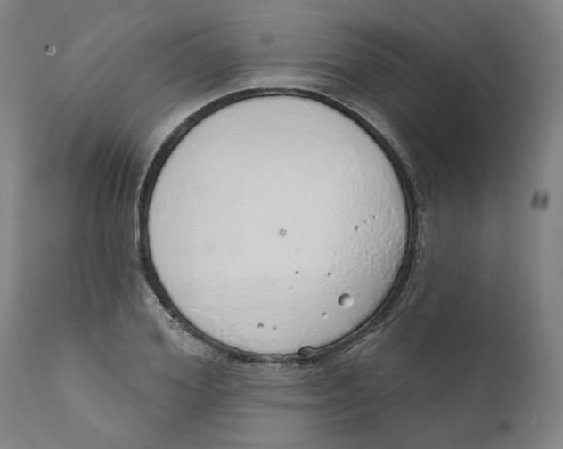 X0000111130980200907211110