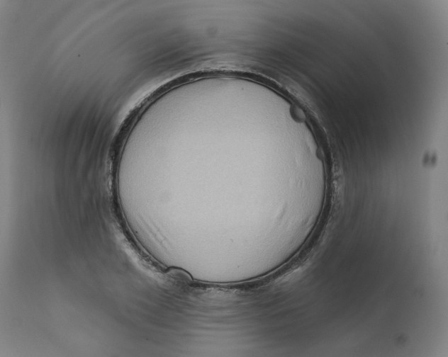 X0000111130981200907211110