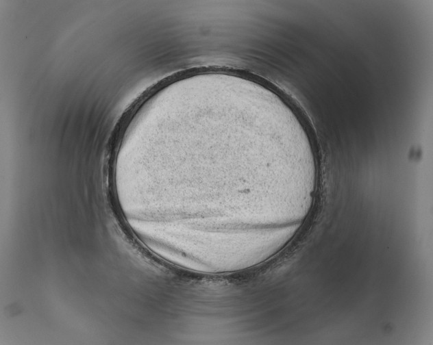 X0000111130983200907211110