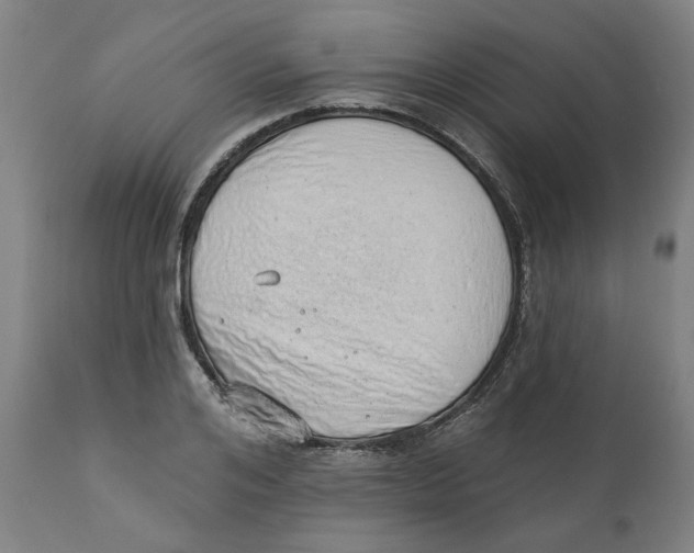 X0000111130984200907211110