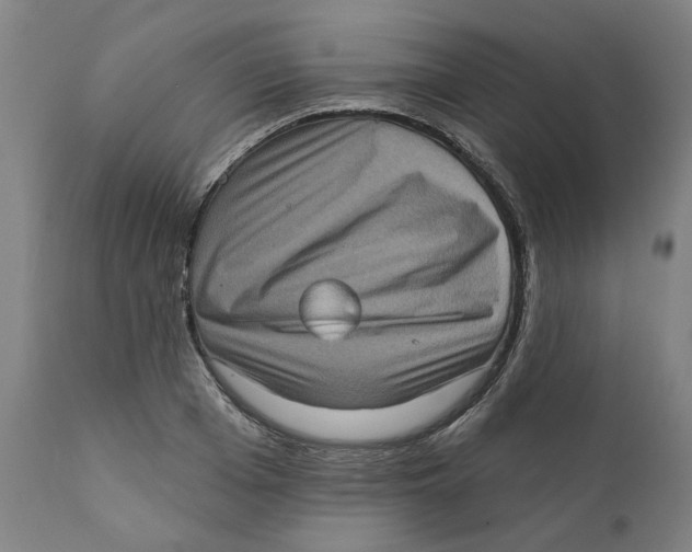 X0000111130985200907211110