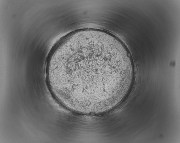 X0000111130987200907211110