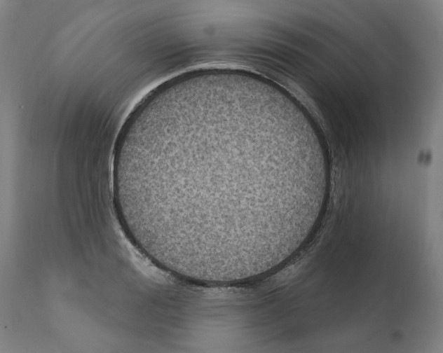 X0000111130988200907211110