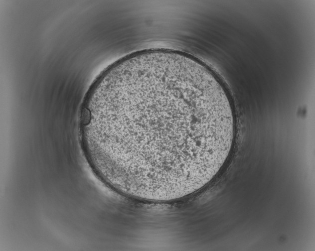 X0000111130991200907211110