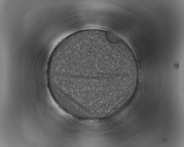 X0000111130995200907211110