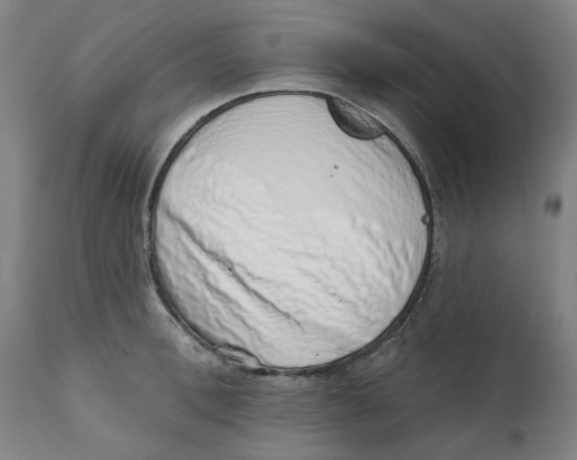 X0000111130996200907211110