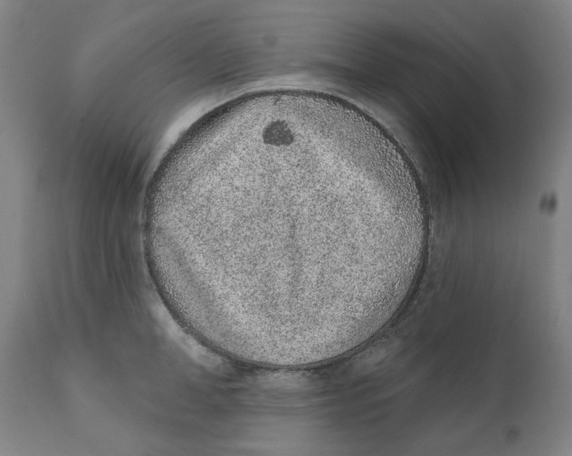 X0000111130998200907211110