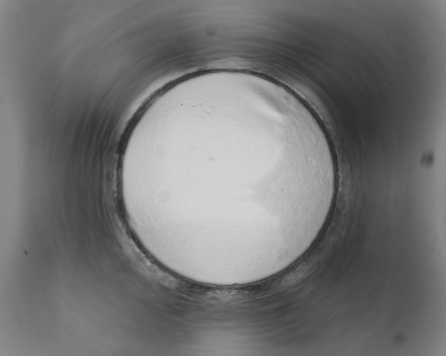 X0000111131000200907211110