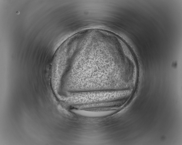 X0000111131001200907211110
