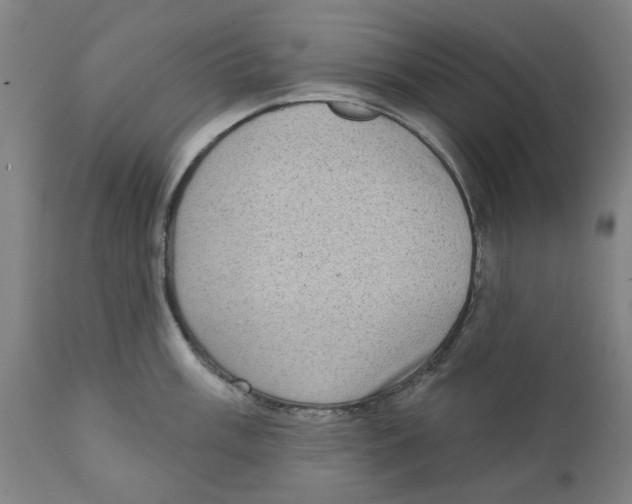 X0000111131003200907211110