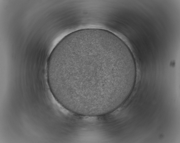 X0000111131006200907211110