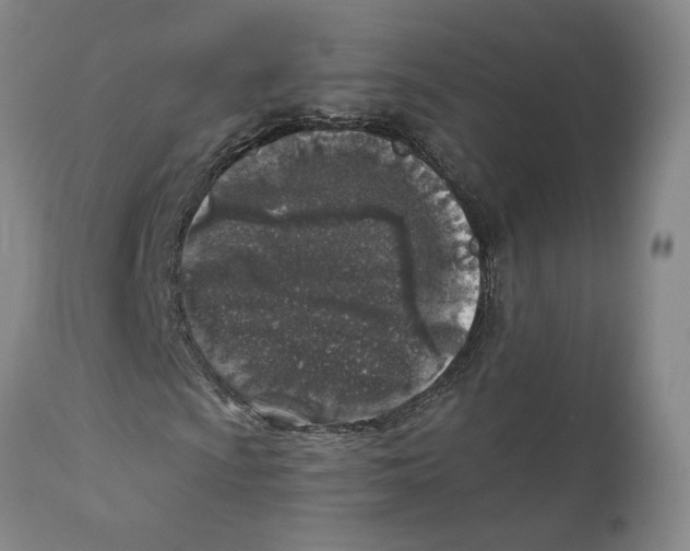 X0000111131009200907211108
