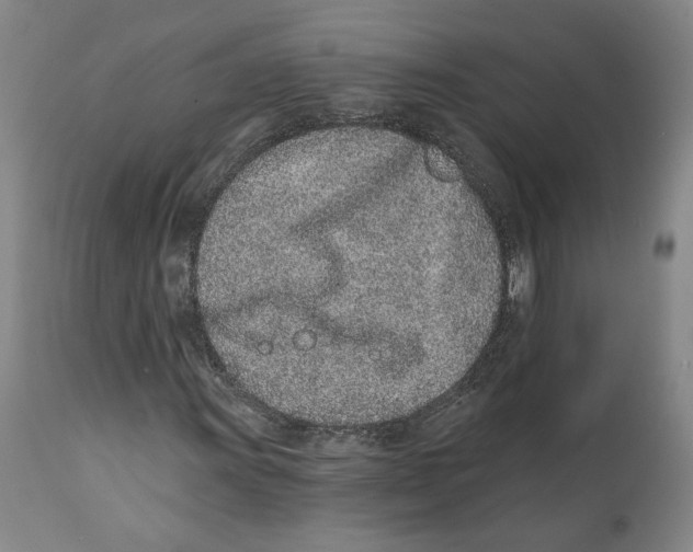 X0000111131011200907211108