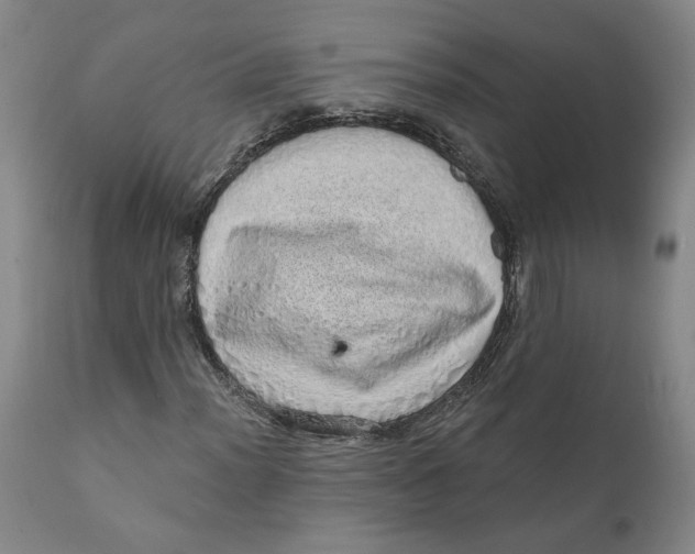 X0000111131012200907211108