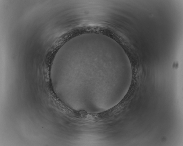 X0000111131013200907211108