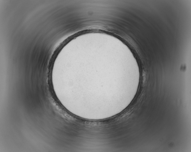X0000111131020200907211109