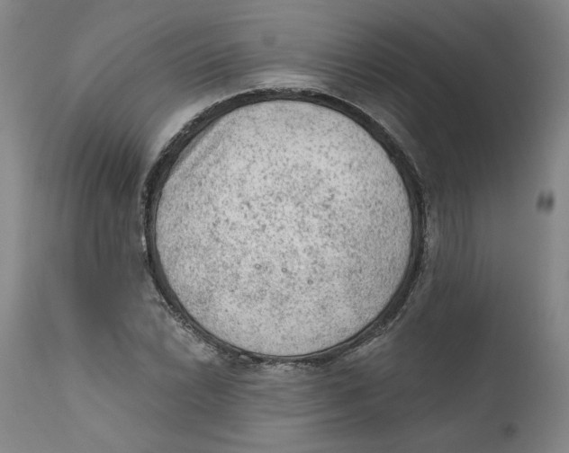 X0000111131022200907211109