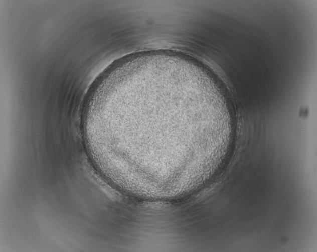 X0000111131023200907211109