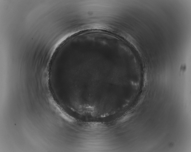X0000111131024200907211109