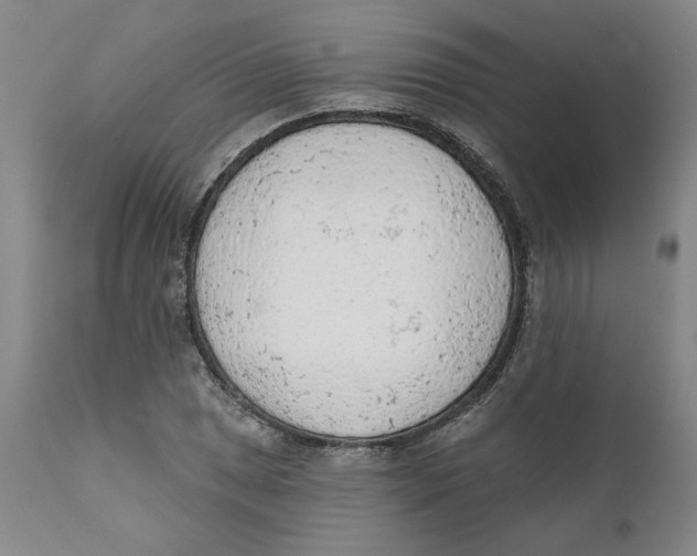 X0000111131025200907211109