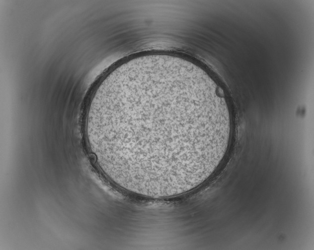 X0000111131026200907211109