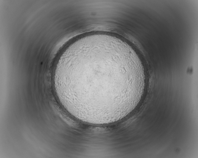 X0000111131027200907211109