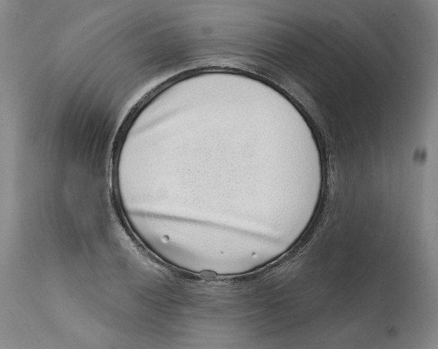 X0000111131028200907211109