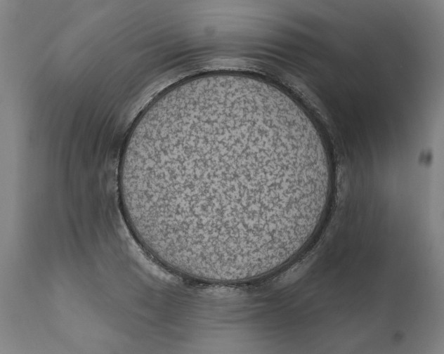 X0000111131033200907211109