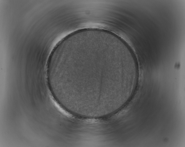 X0000111131037200907211109