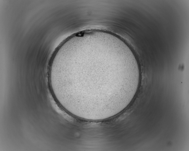X0000111131038200907211109