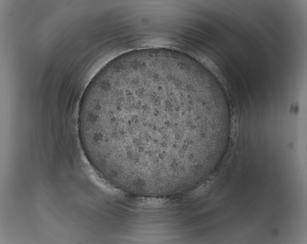 X0000111131039200907211109