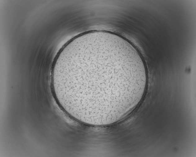 X0000111131040200907211109