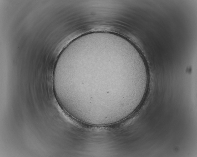 X0000111131041200907211109