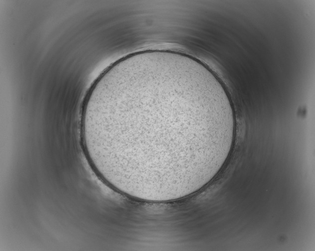 X0000111131046200907211109