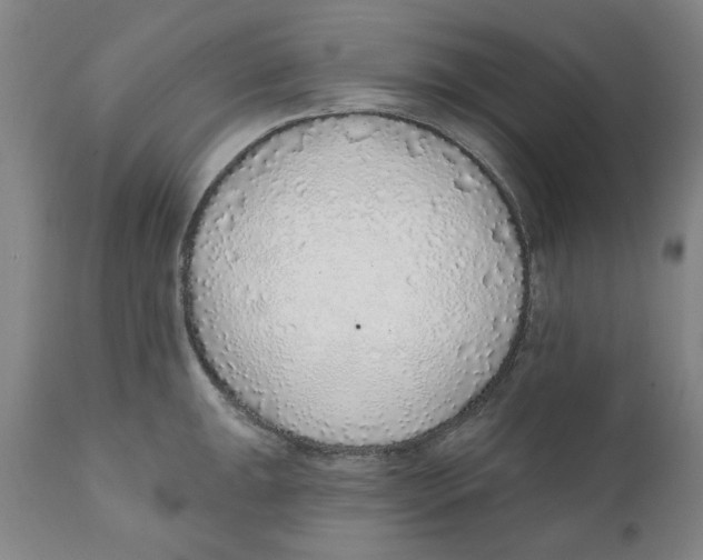 X0000111131047200907211109
