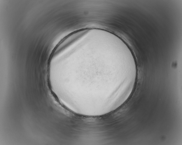 X0000111131048200907211109