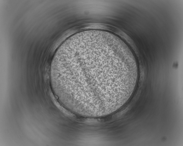 X0000111131049200907211109