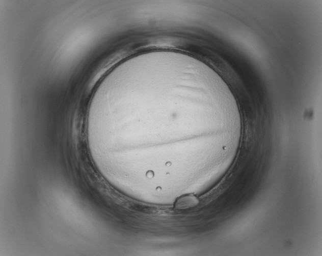 X0000111131052200907211109