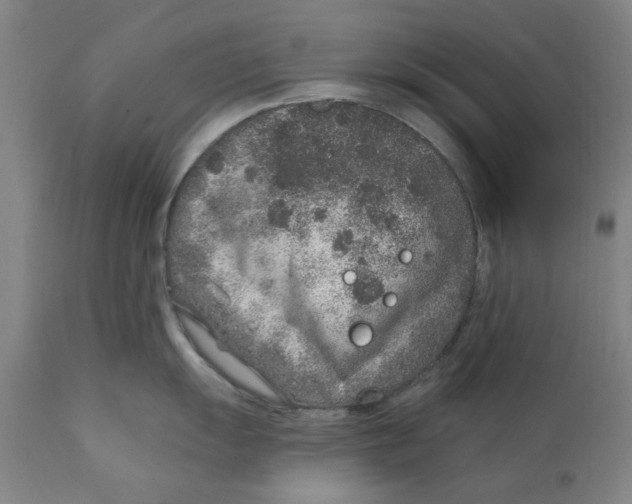 X0000111131055200907211109